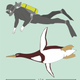 Caption: Artistic reconstruction of Kumimanu biceae in size comparison to a human diver. Credit: Reconstruction by G. Mayr/Senckenberg Research Institute